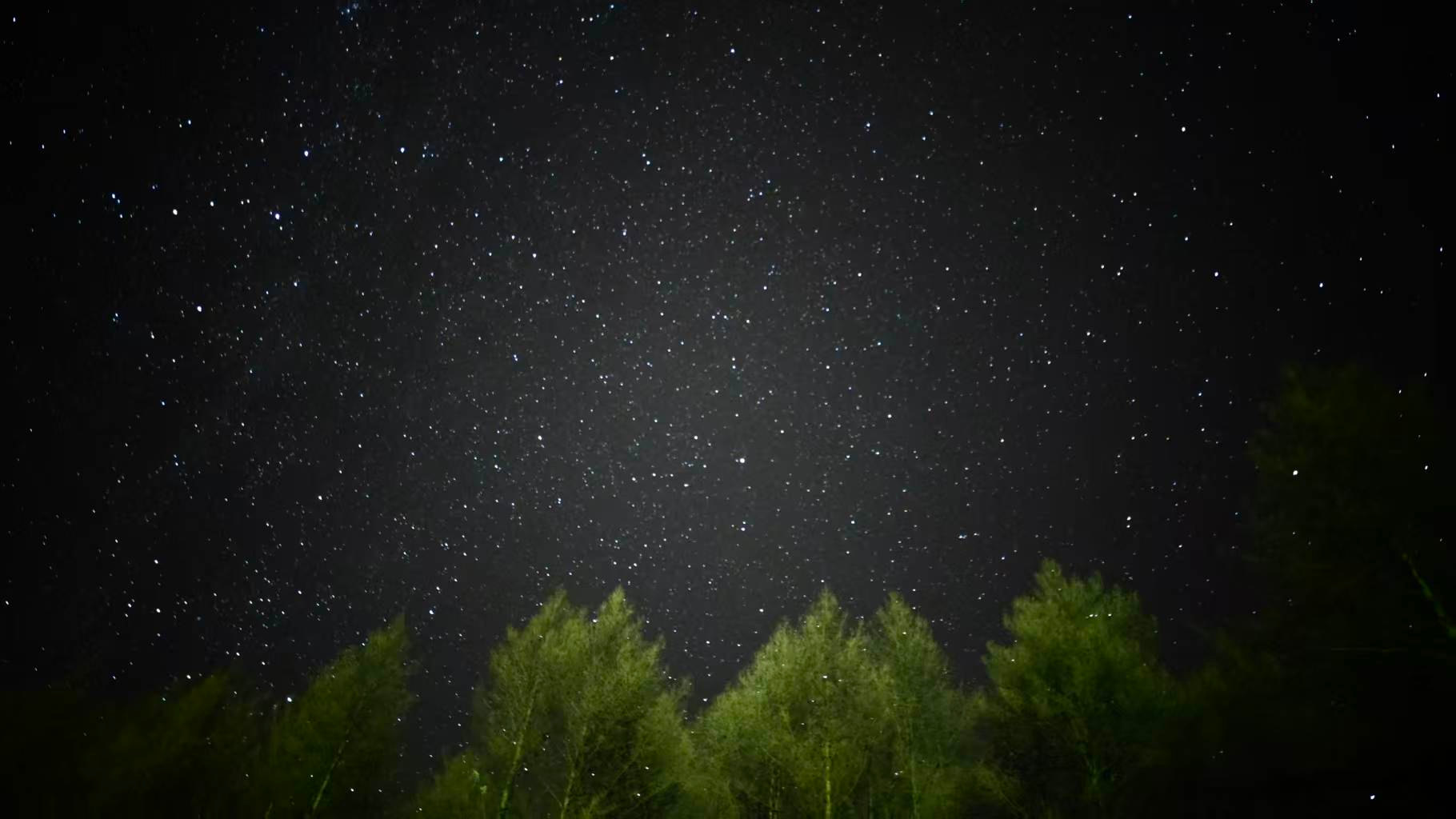 树梢之上满天的星